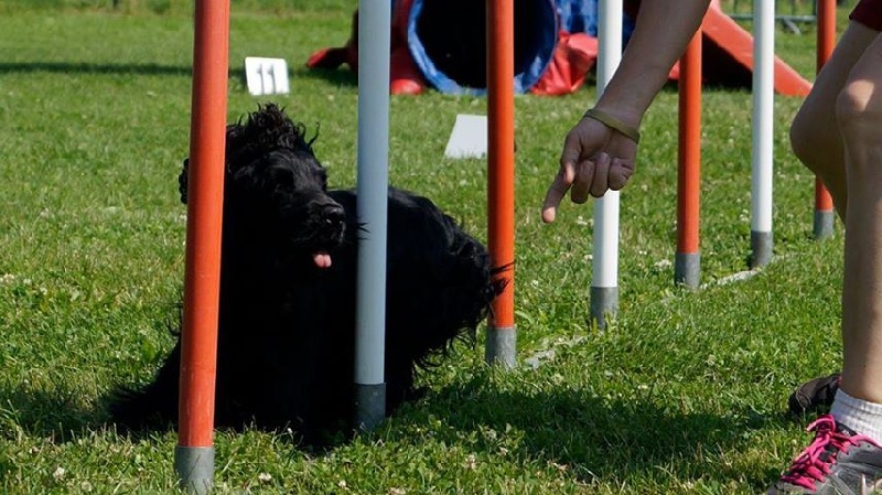 Fatal - beauty du domaine des matalis